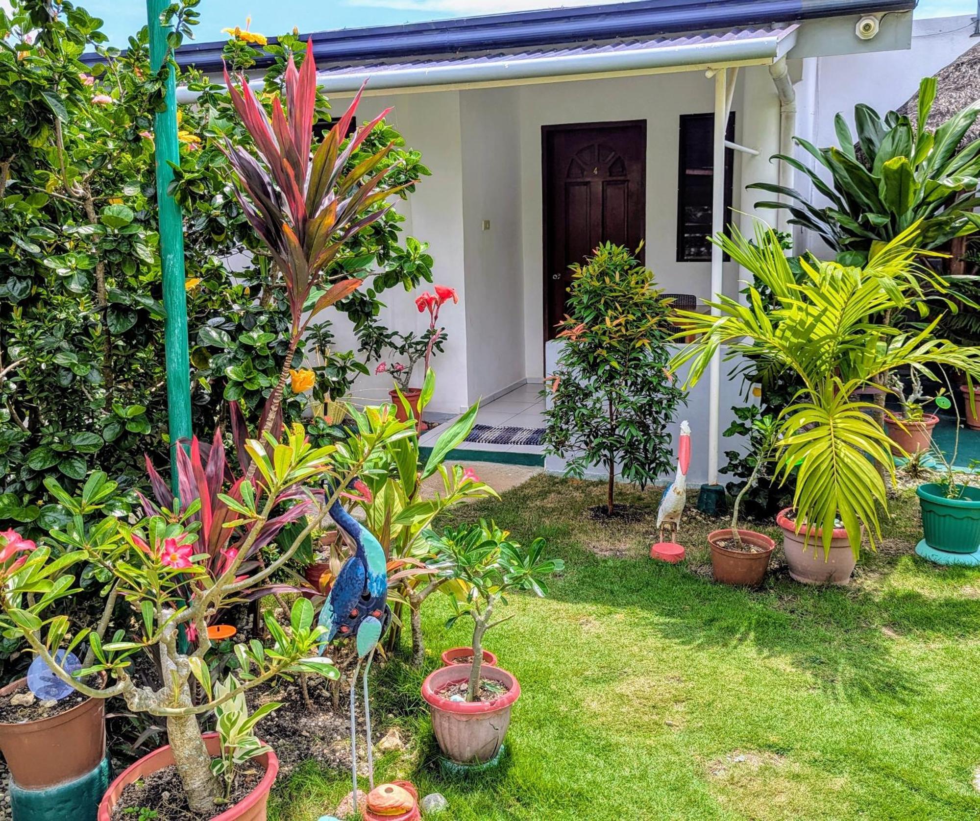 Astillo'S Guest Houses Moalboal Rum bild